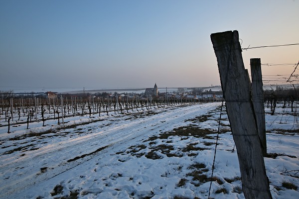 Fotoklub- procházka Devět Mlýnů