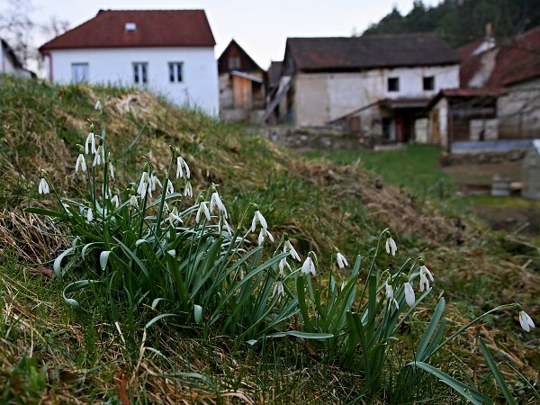 Vellikonoce 2021