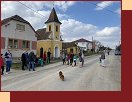  IMG_4768 