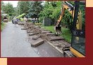  IMG_7505 