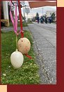  IMG_4152 