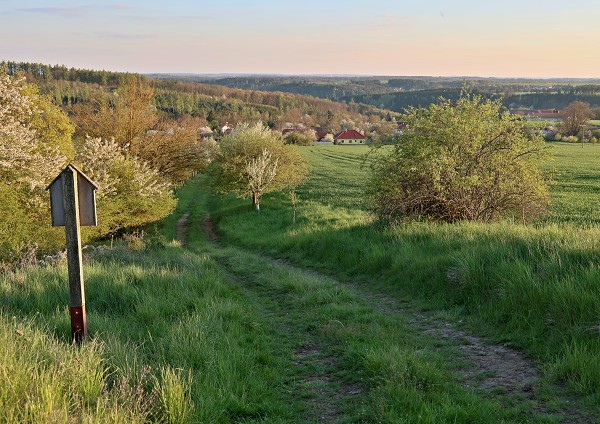 Čarodejnice