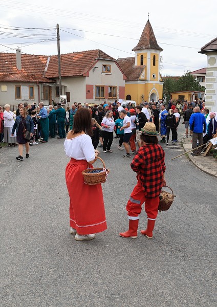 PAČOKY 2023