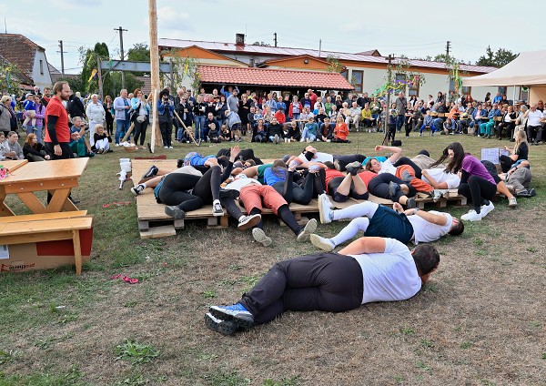 PAČOKY 2023