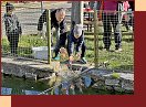  IMG_8797 