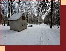  IMG_9310 