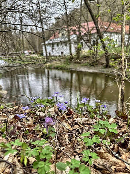Velikonoce 24