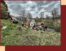  IMG_0954 