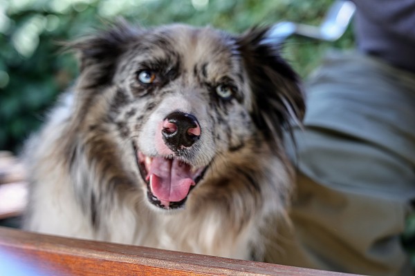 Velikonoce a Country bál