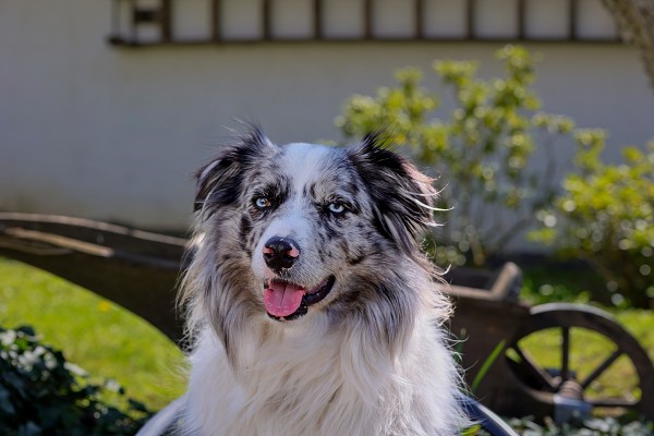 Velikonoce a Country bál