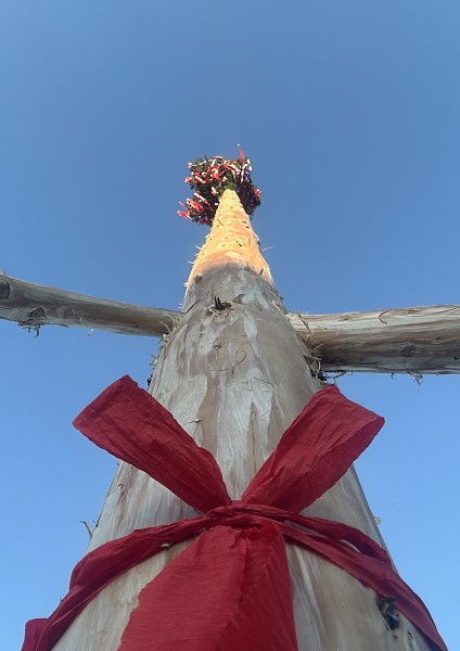 Pačoky 2025 - pátek