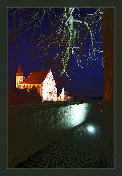art gallery - to co fotim rad